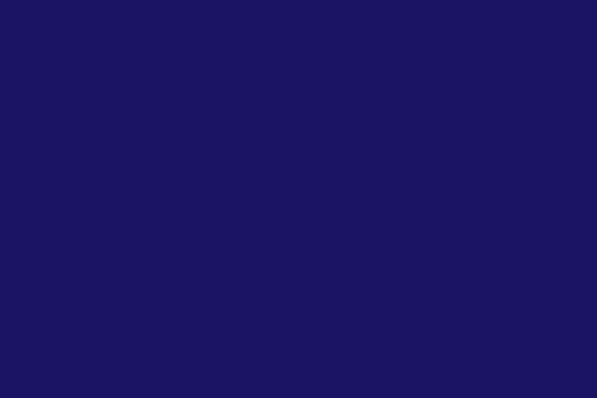 https://bili-bilingual.com/wp-content/uploads/2019/12/navyblue-bili1.jpg